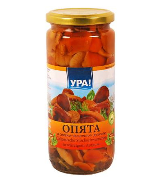 URA! Honey Mushrooms in brine with garlic (Opyata) - 500g (best before 25.10.26)